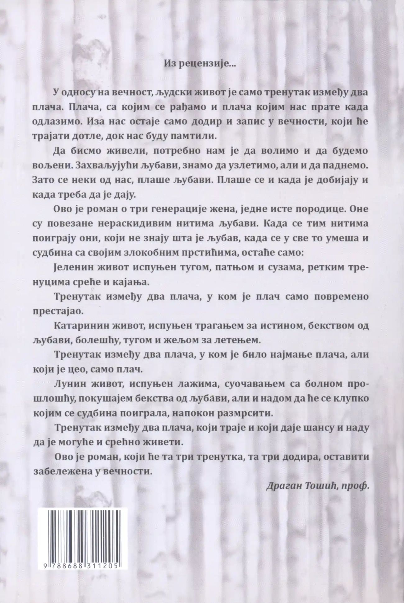 Ulica breza — uvećana slika 2