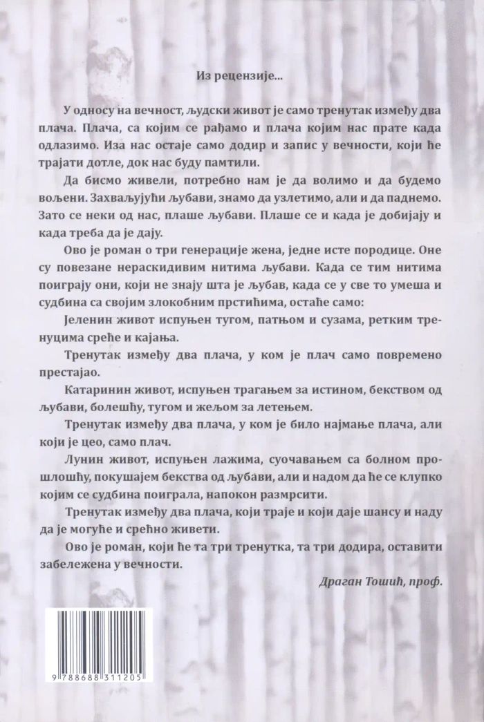 Ulica breza — 2