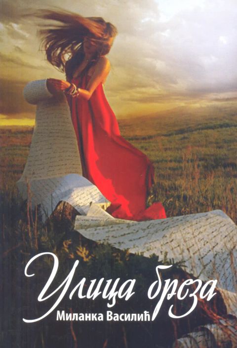 Roman: Ulica breza